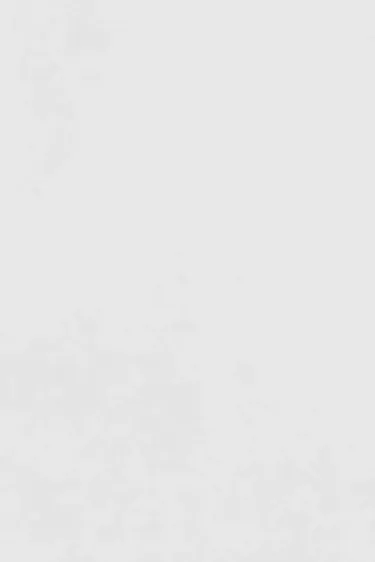 vbaner